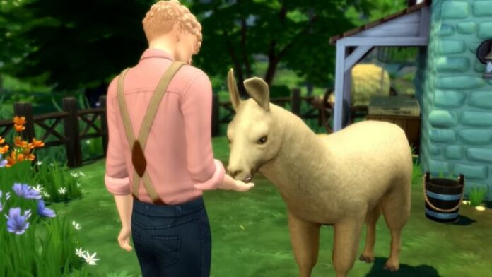 Toutes les friandises et effets pour animaux dans Sims 4: Cottage Living
