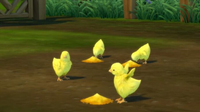 Comment faire éclore des œufs dans Sims 4: Cottage Living
