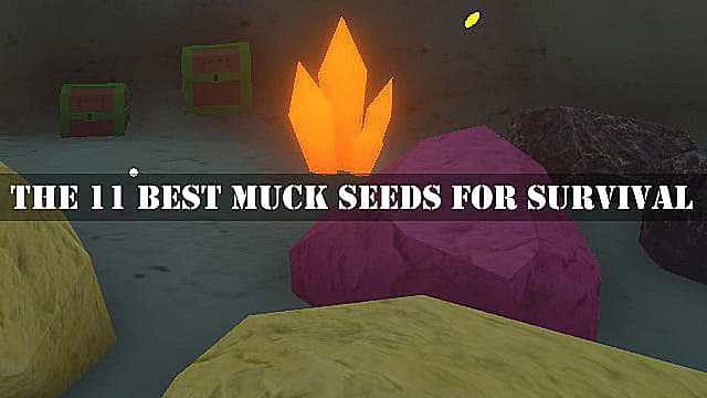 Les 11 meilleures graines de Muck pour la survie
