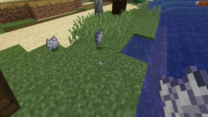 Comment faire pousser de l'herbe dans Minecraft ?
