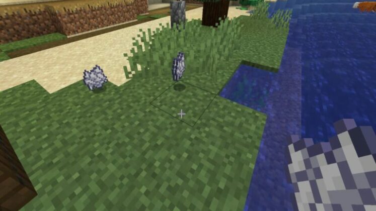 Comment faire pousser de l'herbe dans Minecraft