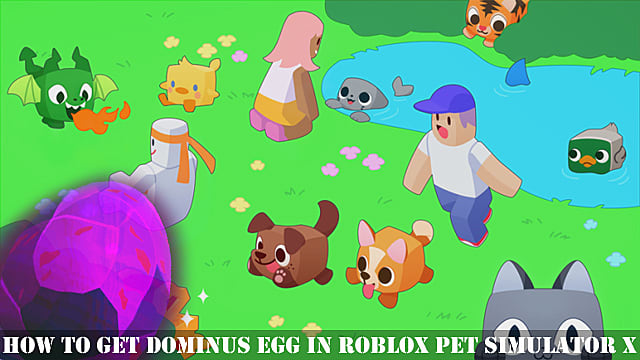 Comment obtenir un œuf de Dominus dans Roblox Pet Simulator X
