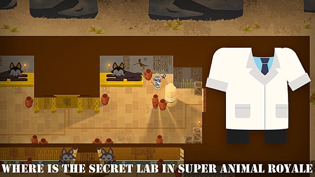 Super Animal Royale : Où est le laboratoire secret
