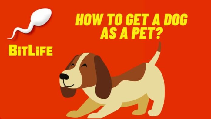 Comment obtenir un chien comme animal de compagnie dans Bitlife ?
