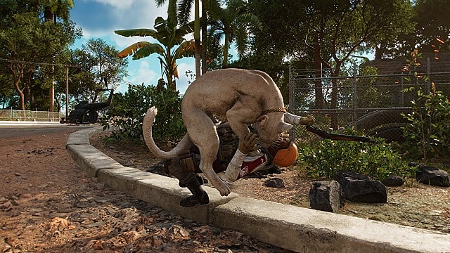 Far Cry 6 Amigos: Comment obtenir tous les crocs pour la location
