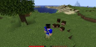 Comment obtenir des têtes de joueur dans Minecraft
