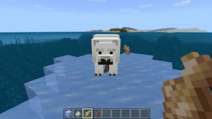 Que mangent les ours polaires dans Minecraft ?
