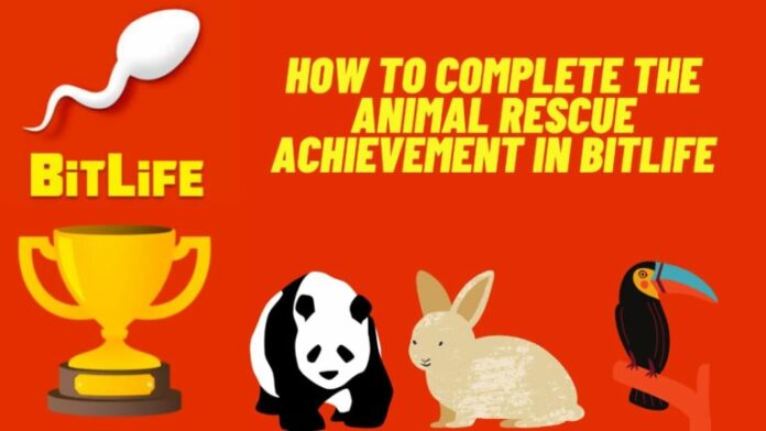  Comment terminer le succès de sauvetage d'animaux dans BitLife?  – Où trouver des animaux à sauver

