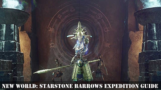 Nouveau monde : Guide d'expédition Starstone Barrows
