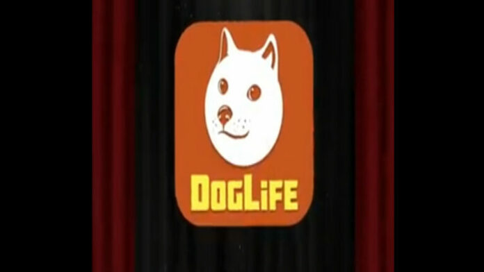 Comment vivre plus de 30 ans dans DogLife

