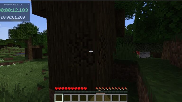 Meilleurs chronomètres Minecraft Speedrun