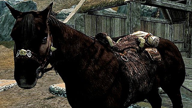 Skyrim: Comment obtenir chaque cheval
