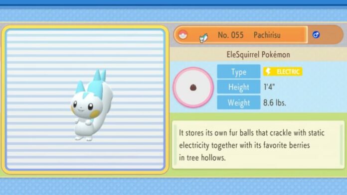 Meilleure nature pour Pachirisu dans Pokémon Brilliant Diamond et Shining Pearl
