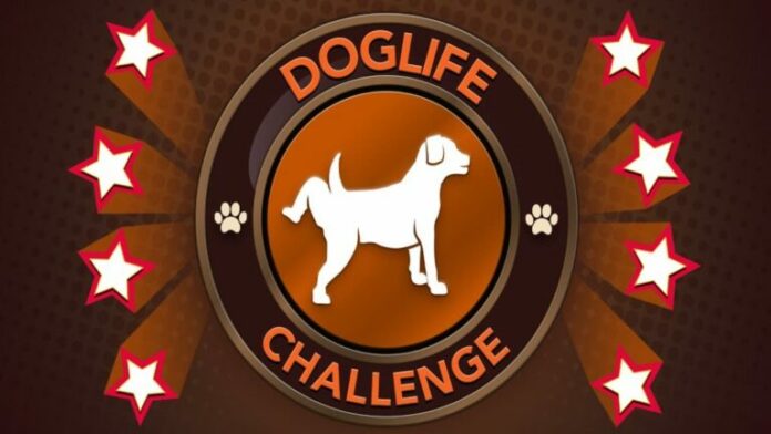Comment relever le défi DogLife dans BitLife
