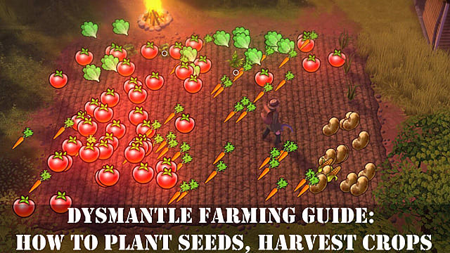 Dysmantle Farming Guide: Comment planter des graines, récolter des cultures
