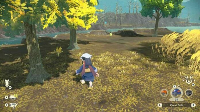 Où trouver le Pokémon à trois feuilles dans Pokémon Legends : Arceus
