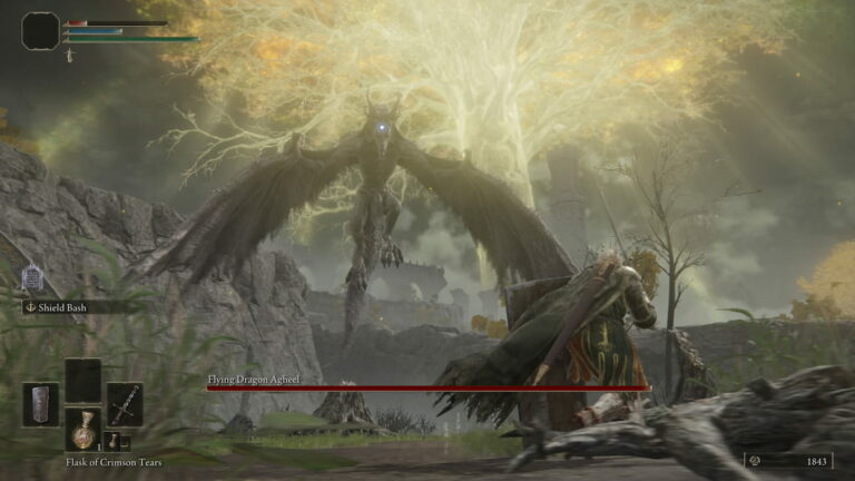 Comment battre Flying Dragon Agheel dans Elden Ring?