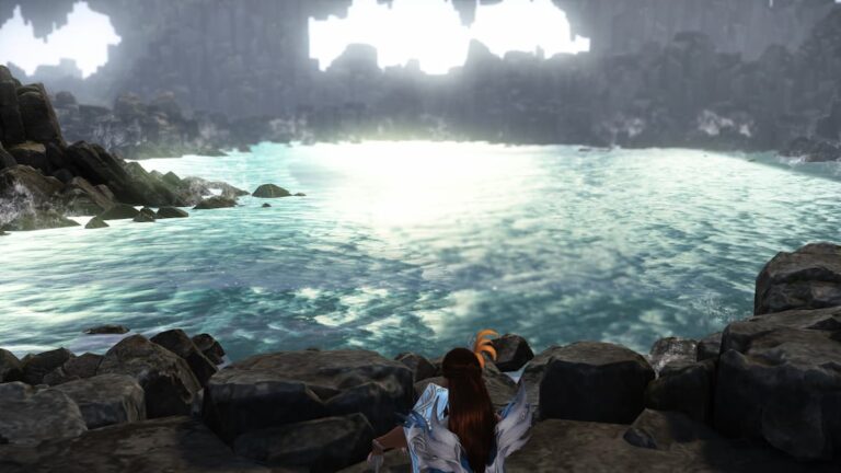 Tous les emplacements de Mokoko Seed sur Golden Wave Island dans Lost Ark