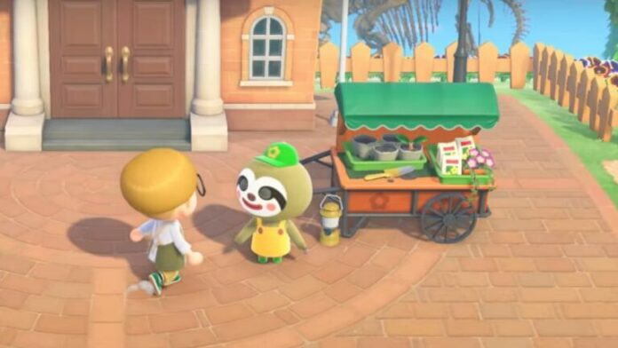 Comment trouver Leif dans Animal Crossing: New Horizons
