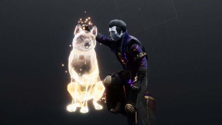 Vous pouvez désormais « caresser le chien » dans Destiny 2 – Comment obtenir l'emote Loyal Companion