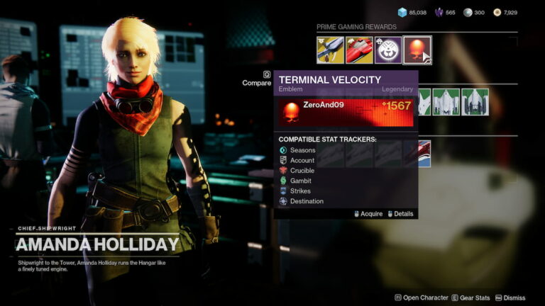 Comment obtenir l'emblème Terminal Velocity dans Destiny 2