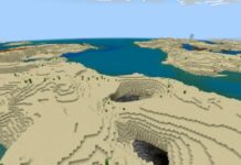 Meilleures graines de plage Minecraft pour le substratum rocheux et Java
