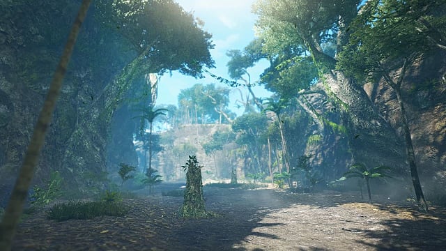 Monster Hunter Rise Sunreak: où trouver l'os raide envahi par la végétation
