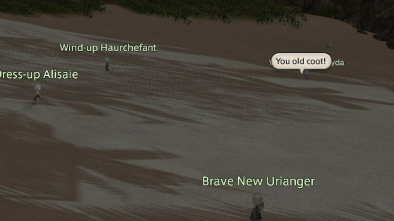 Les fans de Final Fantasy XIV sont amoureux des citations de Island Sanctuary Minion