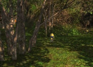 Que sont les cauris des insulaires et comment les obtenir dans Final Fantasy XIV
