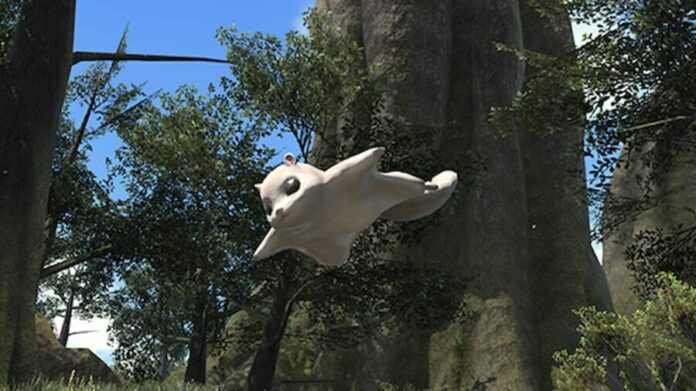 Comment obtenir le Minion Pterosquirrel dans Final Fantasy XIV
