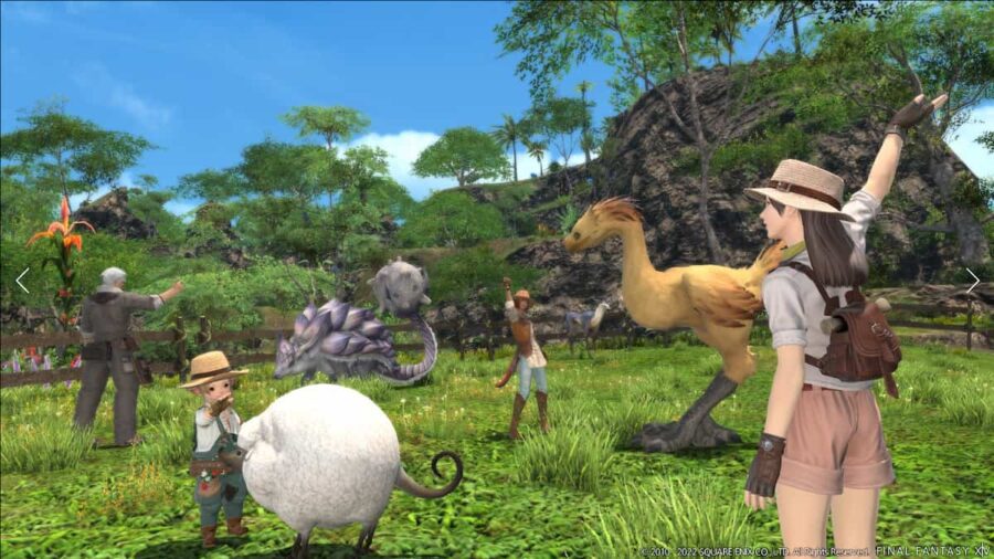Animaux de l'île du sanctuaire de Final Fantasy XIV