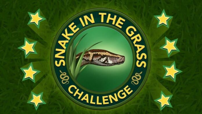 Comment terminer le défi Snake in the Grass dans BitLife
