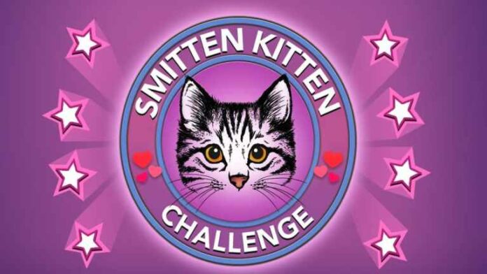 Comment terminer le défi Smitten Kitten dans BitLife
