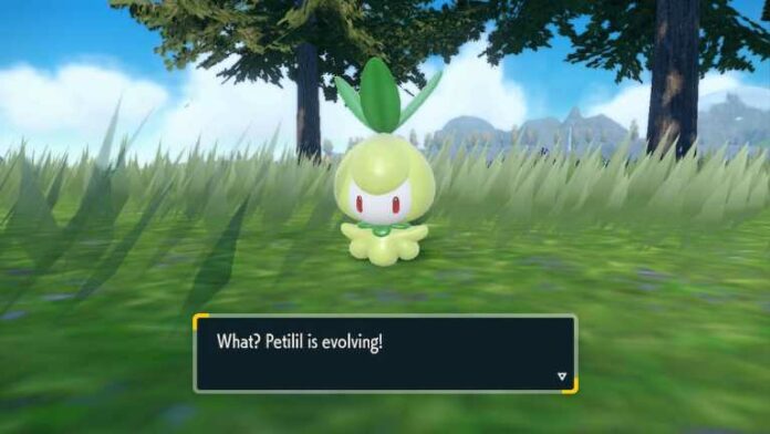 Comment faire évoluer Petilil en Lilligant dans Pokémon Scarlet & Violet
