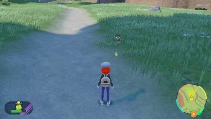 Comment fonctionne le mode Let's Go dans Pokémon Scarlet & Violet ?
