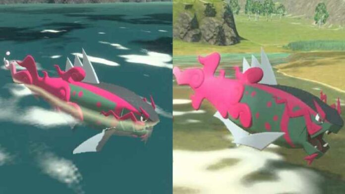  Pouvez-vous faire évoluer Basculin en Basculegion dans Pokémon Scarlet et Violet ?  Répondu
