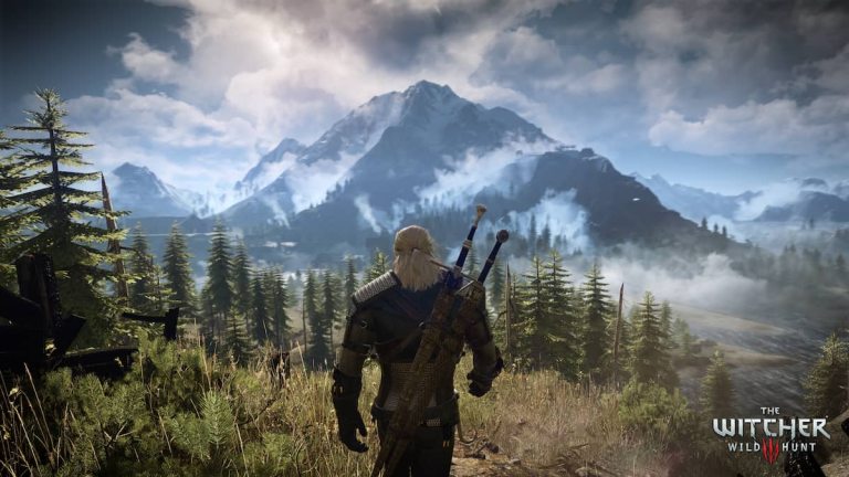 Comment afficher le compteur FPS dans Witcher 3