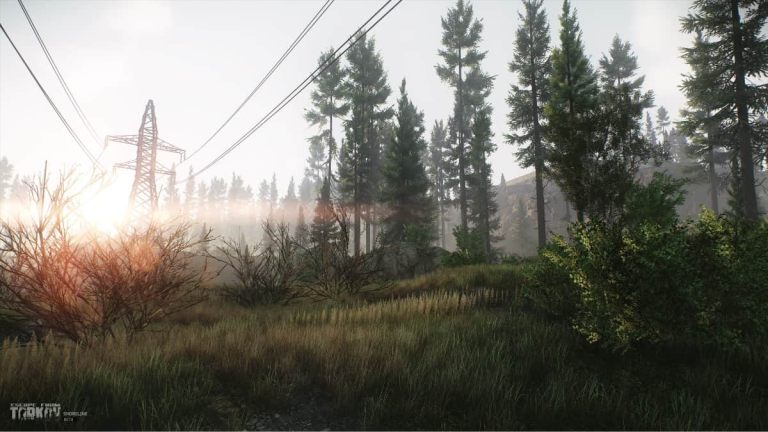 Tous les points d'extraction d'évasion de Tarkov - Carte des bois