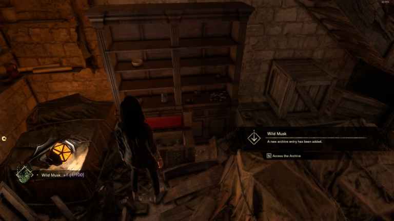 Comment obtenir du musc sauvage dans Forspoken