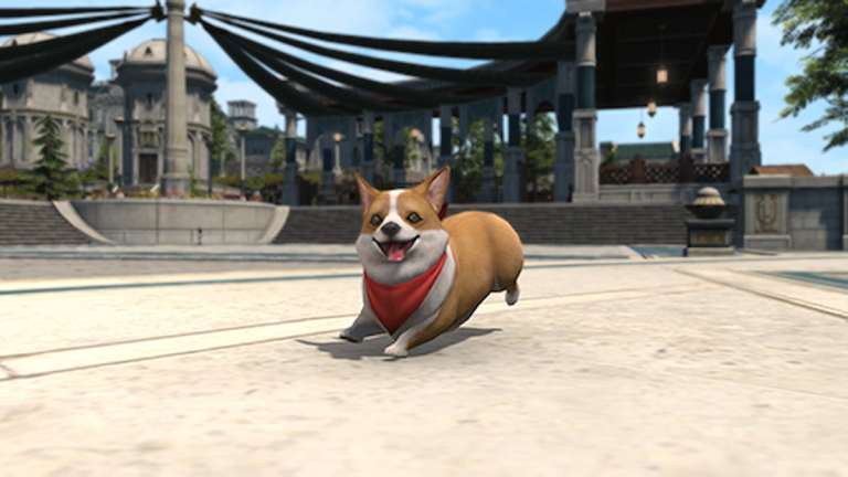 Comment débloquer le minion Corgi dans Final Fantasy XIV