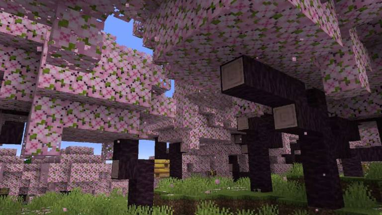 Tout sur le biome Cherry Blossom de Minecraft à venir en 1.20