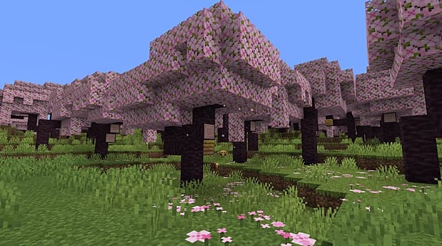 Minecraft Cherry Blossom Biome pour peindre l'Overworld en rose en 1.20
