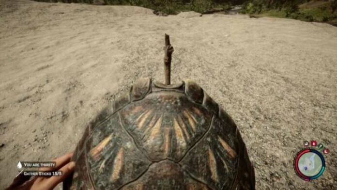 Quelle est la carapace de tortue utilisée dans Sons of the Forest ?
