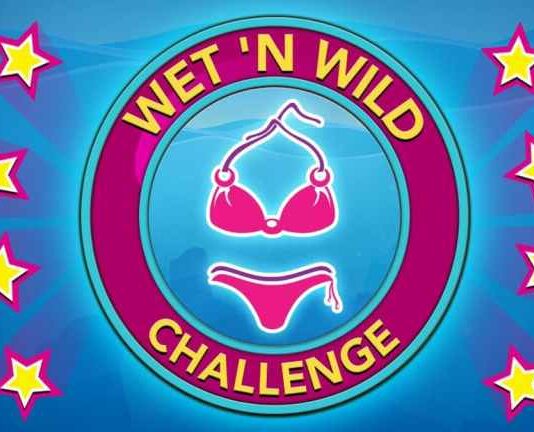 BitLife - Comment relever le défi Wet N Wild
