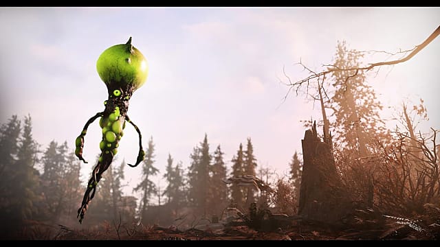 Fallout 76: où cultiver des flotteurs
