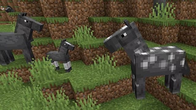Minecraft: Comment élever des chevaux
