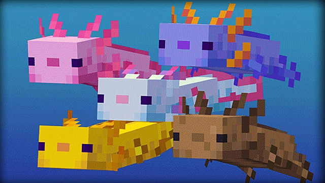 Minecraft: Comment obtenir le rare Axolotl bleu
