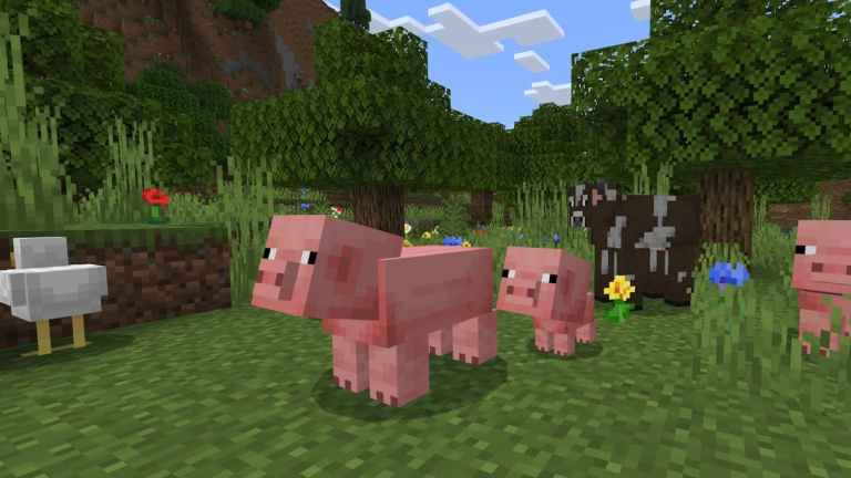 Minecraft: Comment voler - GameSkinny