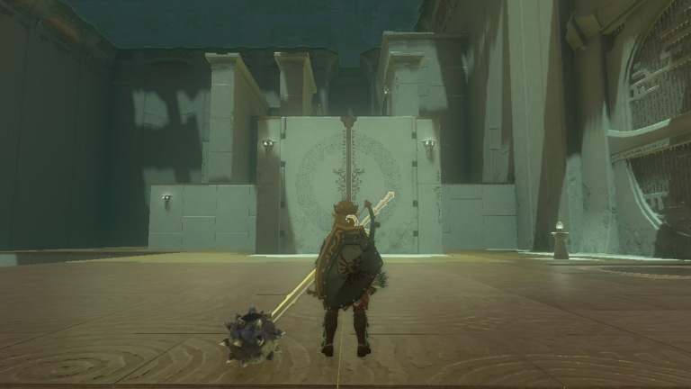 Zelda Tears of the Kingdom: Courage to Fall Shrine Guide