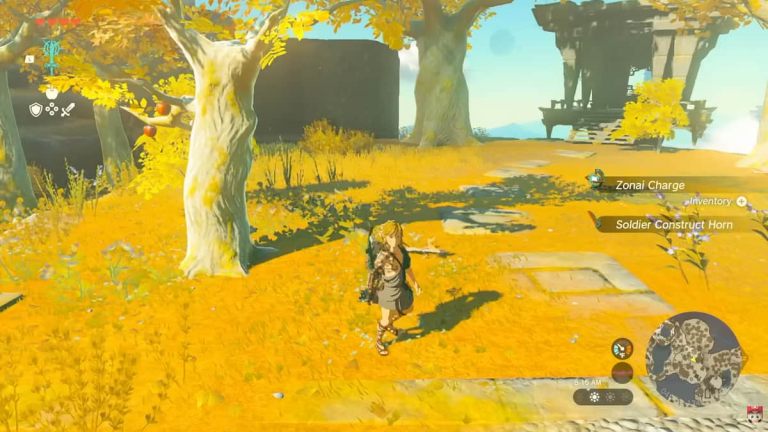 Pourquoi choisir l'endurance plutôt que les cœurs dans Zelda Tears of the Kingdom